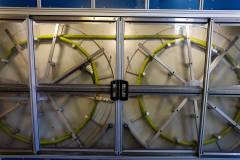 R6II7286 Kopie Klein.jpg